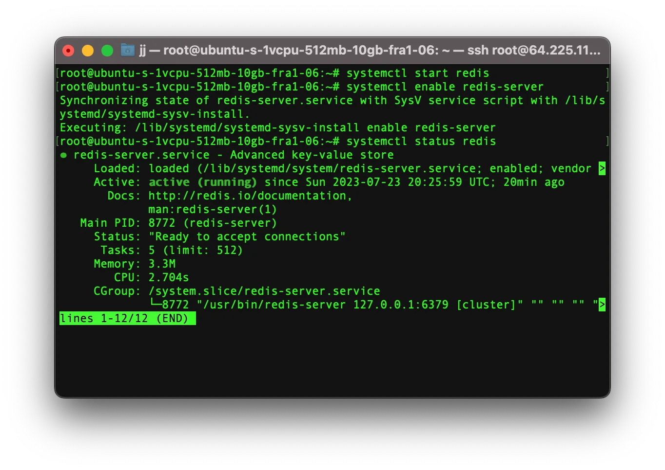 展示Linux服务器中Redis和Memcached安装、启动及配置文件的真实终端操作。
