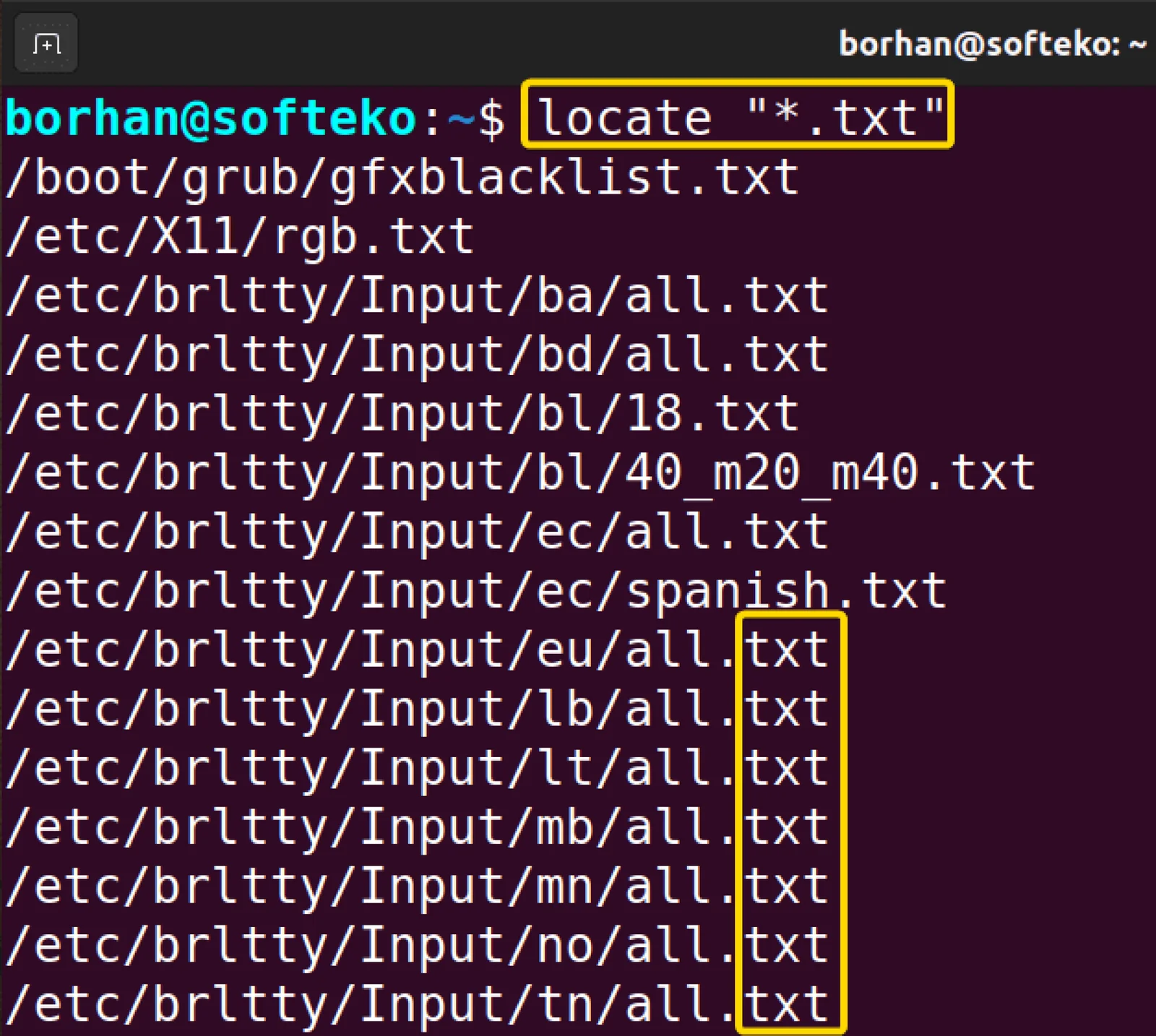 展示真实Linux Shell终端中的find和locate实际命令、参数与查询结果,突出两者操作方式差异。