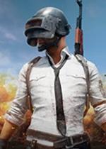 PLAYERUNKNOWNS BATTLEGROUNDS 中文版